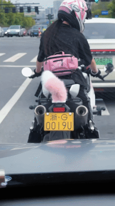 Interactive fluffy car tail wagging behind a vehicle